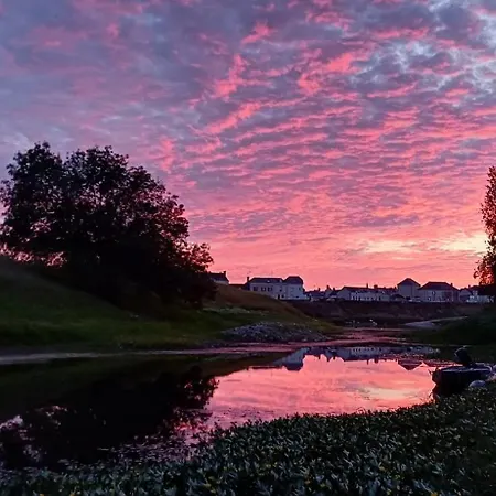 D'hotes Au Bout De L'ile - La Toue Sabliere Gæstehus Montjean-sur-Loire